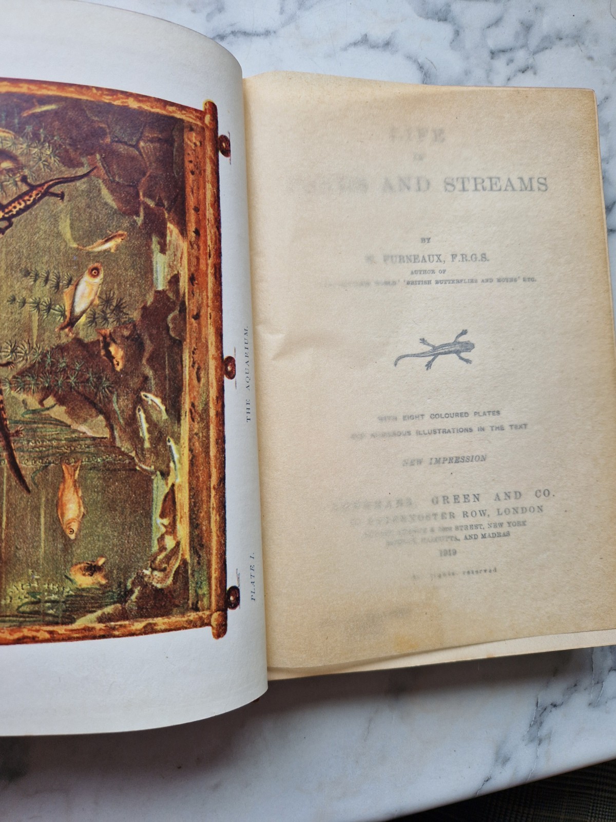 (1919) Life in Ponds and Streams W Furneaux Illustrated frogs snails molluscs