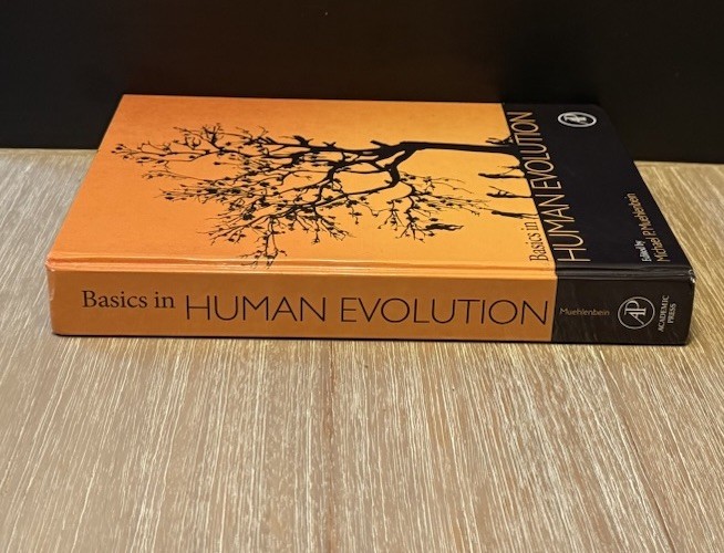 Basics in Human Evolution by Michael P. Muehlenbein 2015 HC