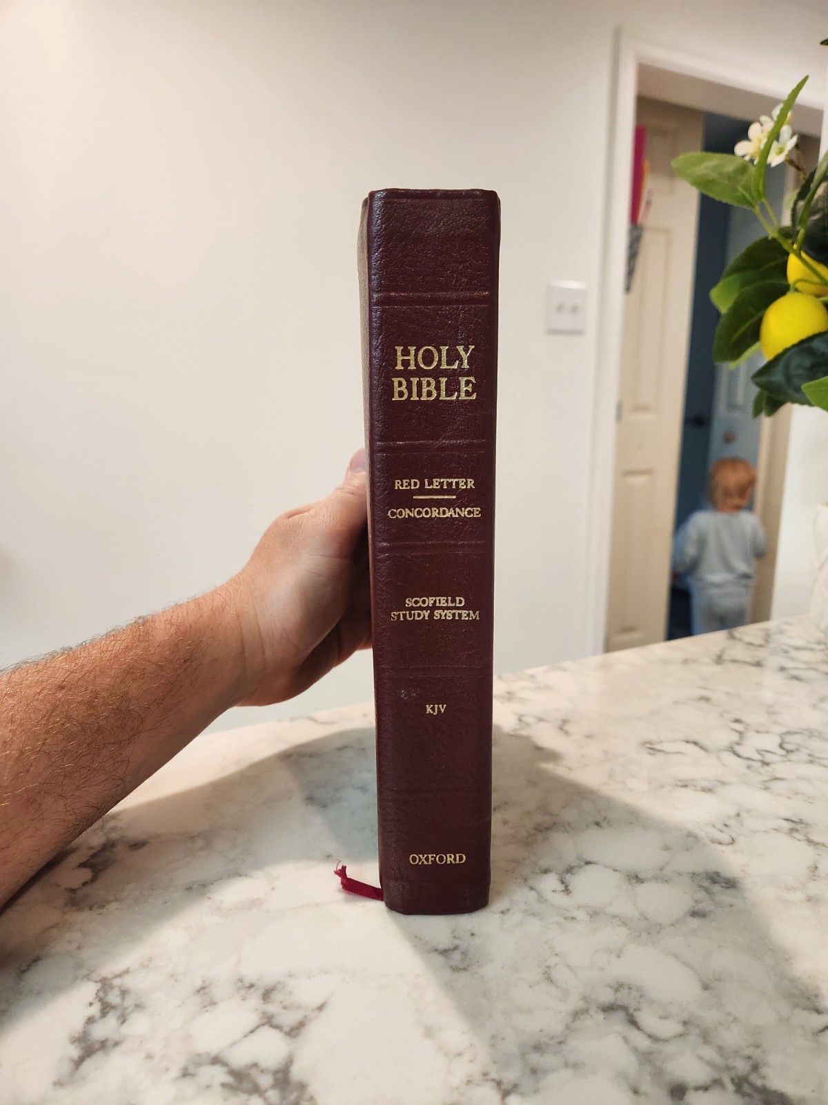 KJV Holy Bible OXFORD SCOFIELD STUDY SYSTEM RED LETTER CONCORDANCE 284