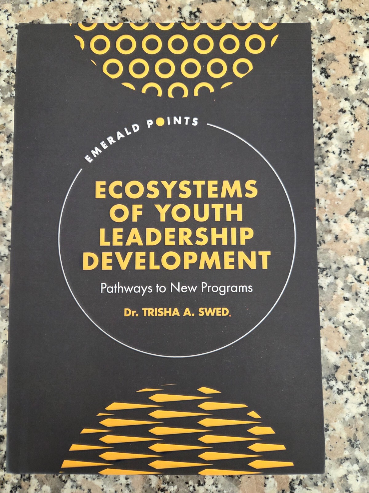 Ecosystems of Youth Leadership Development: Pathways to New Programs, New, HC