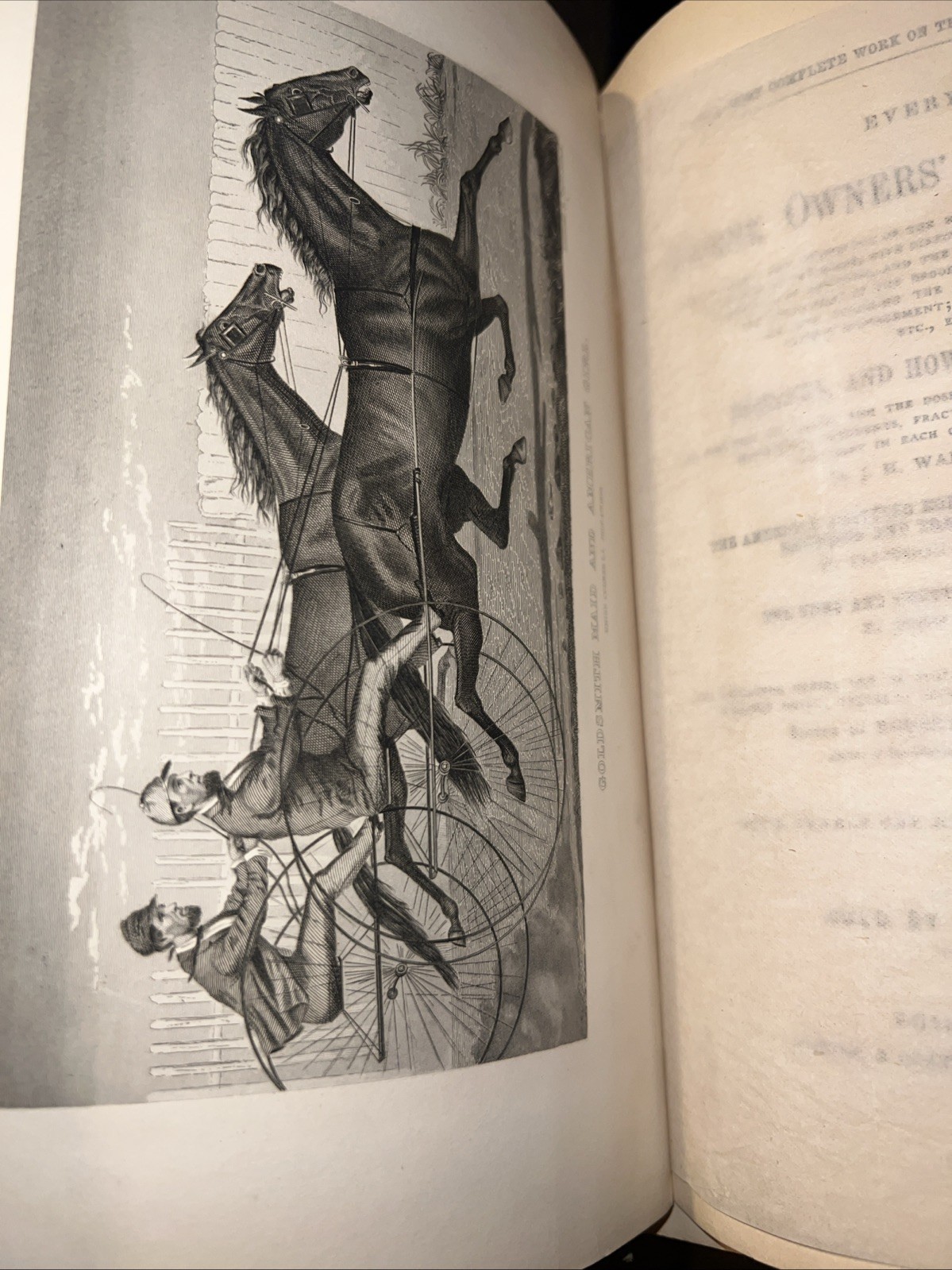 Every Horse Owners&rsquo; Cyclopedia – Diseases, And How To Cure Them 1875 & 1971
