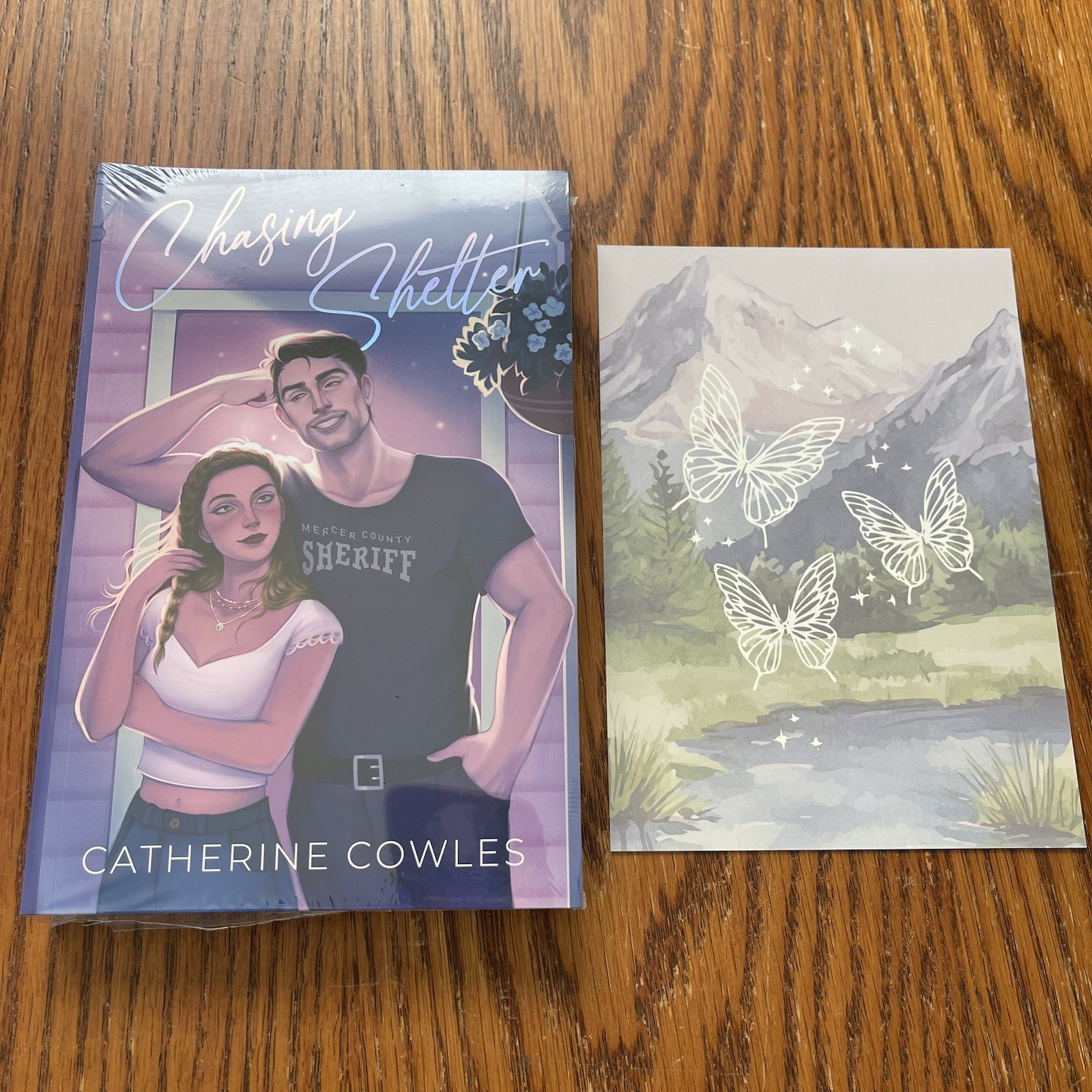 The Love Story Society Chasing Shelter Catherine Cowles Eternal Embers