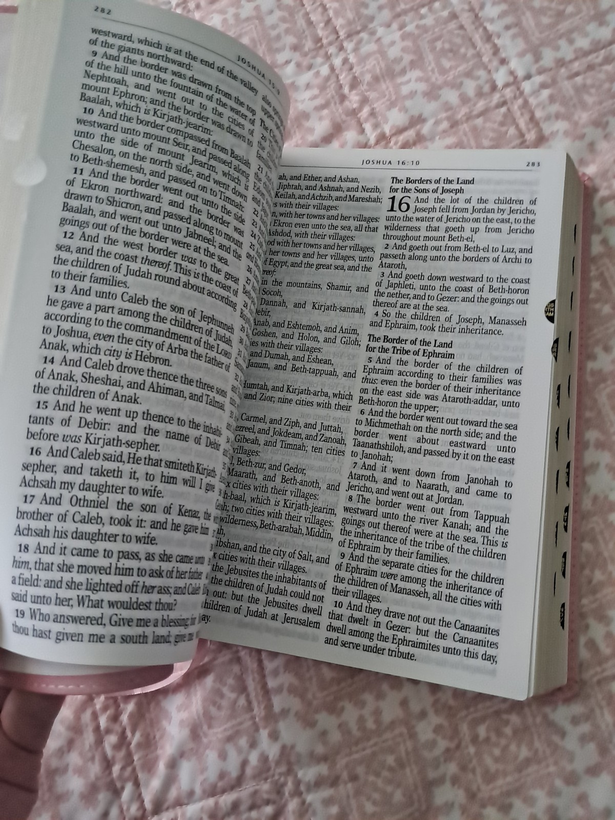 Holy Bible King James Version Full-Size Giant Print Edition Pink