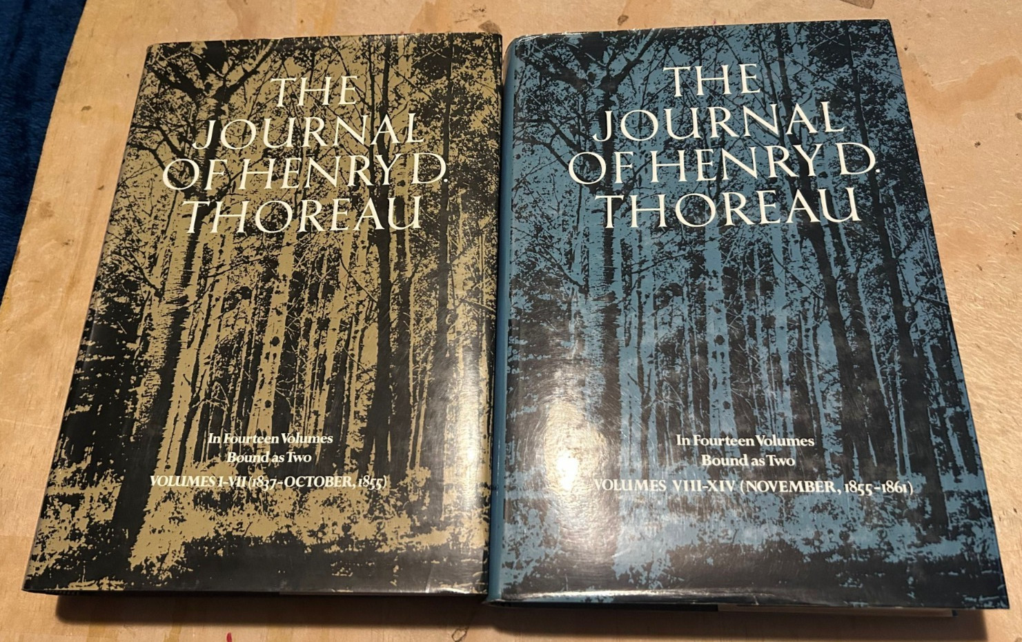 The Journals of Henry D. Thoreau in 14 Volumes Bound as Two (Dover HC set, 1962)
