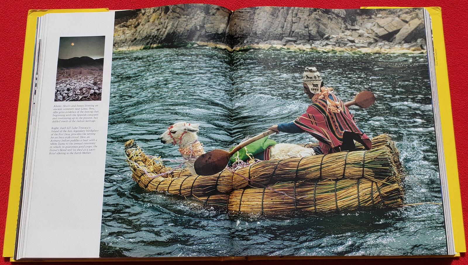 The National Geographic Society 100 Years Of Adventure And Discovery 480 Pages
