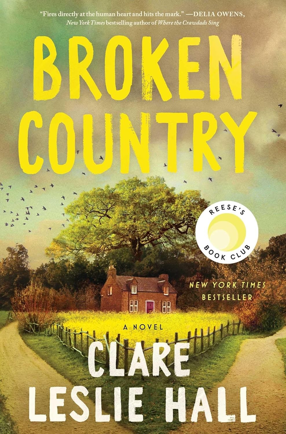 Broken Country (Reese&rsquo;s Book Club) by Clare Leslie Hall (2025, Hardcover)