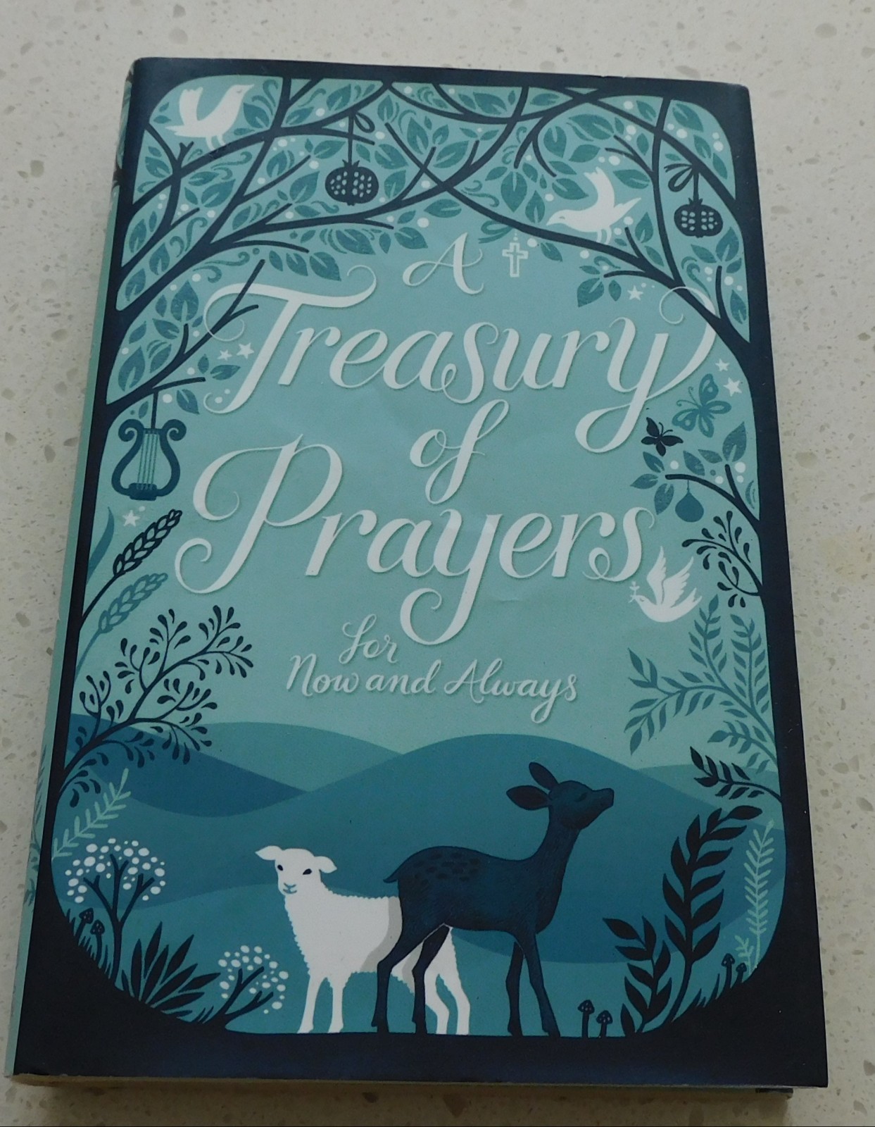 Treasury Prayers For Now and Always by Joslin Mary, Lion Hudson PLC, 2013