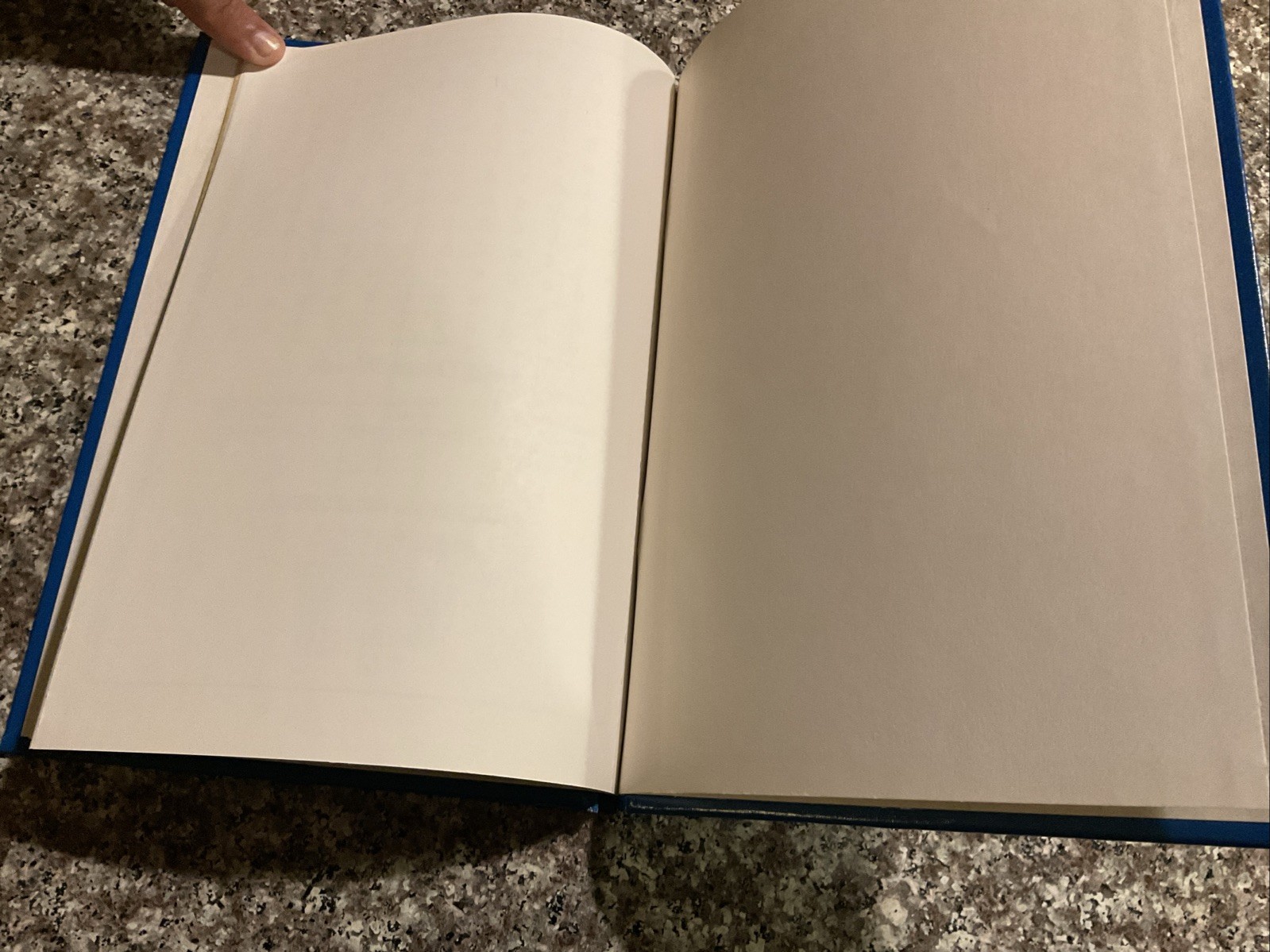 1978 The Hamburger Hunt: A Ronald McDonald Mystery Activity Book