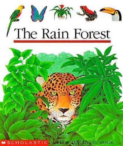 The Rain Forest (First Discovery Book) – Spiral-bound – ACCEPTABLE