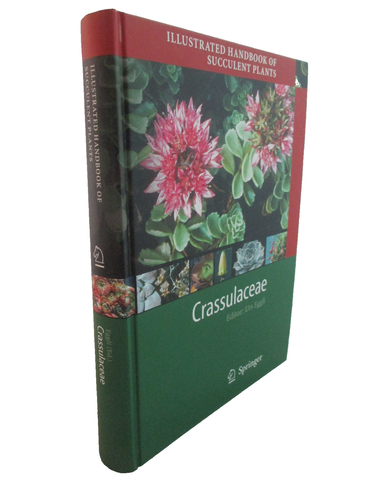 Illustrated Handbook of Succulent Plants: Crassulaceae ~ Editor Urs Eggli HC (G)