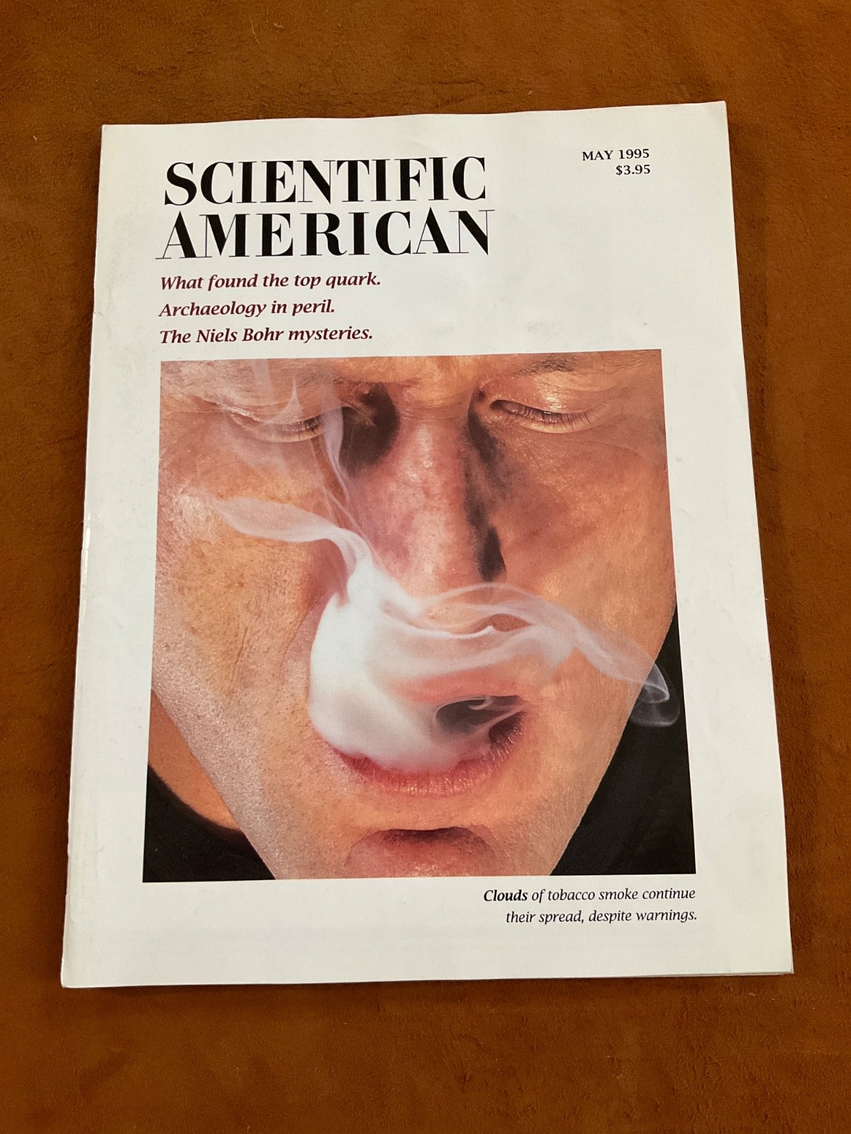 Scientific American Magazine May 1995