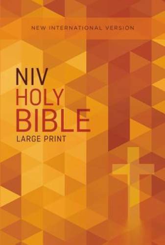 NIV, Outreach Bible, Large Print, Paperback – Paperback By Zondervan – GOOD