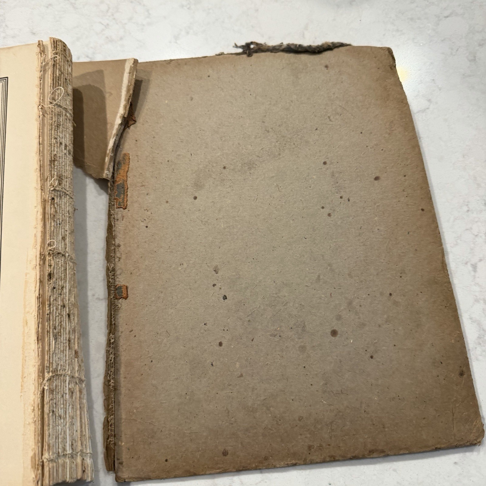 1919 HOWITZER West Point Military Academy Photo Book Cadets 464 Pages