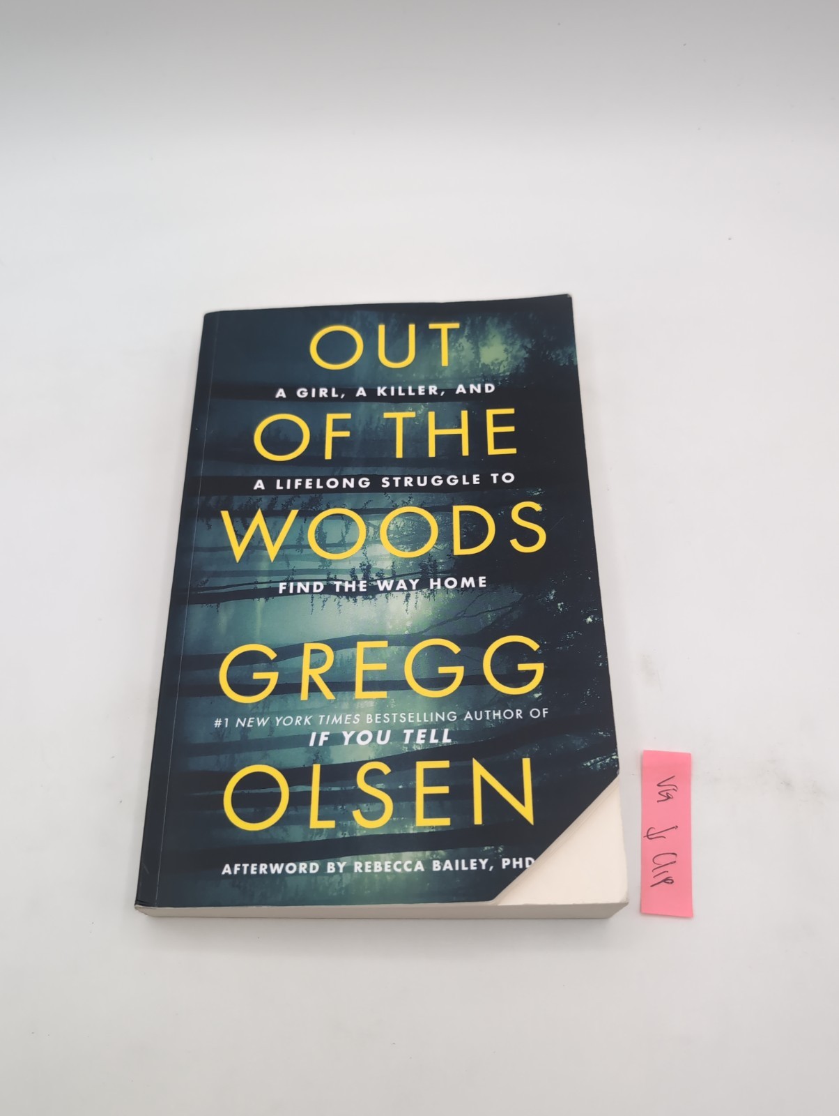 Out of the Woods : A Girl, a Killer, and a Lifelong Struggle to Find the Way…