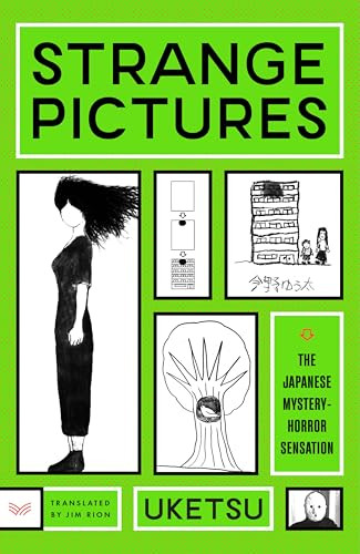 Strange Pictures A Novel – GOOD