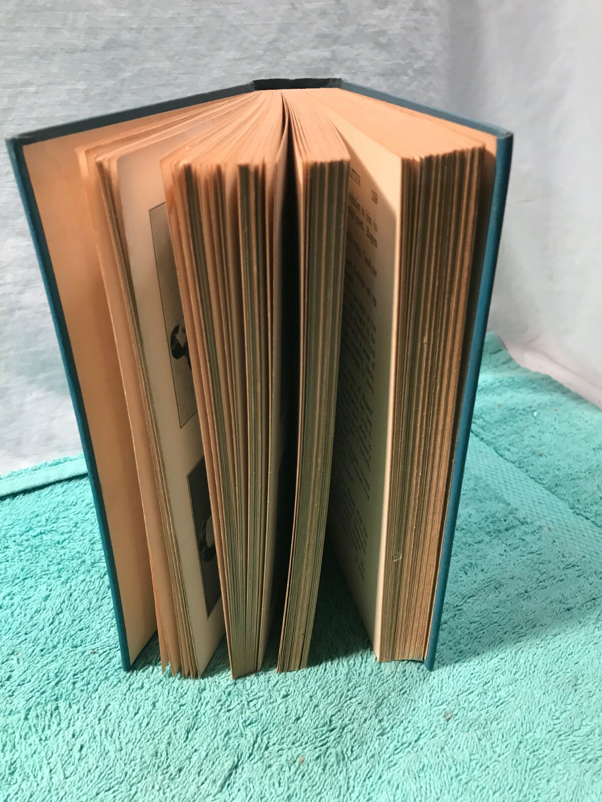 Vintage Book WILL ROGERS Hardcover 288 Pages by P.J. O&rsquo;BRIEN 1935 Illustrated