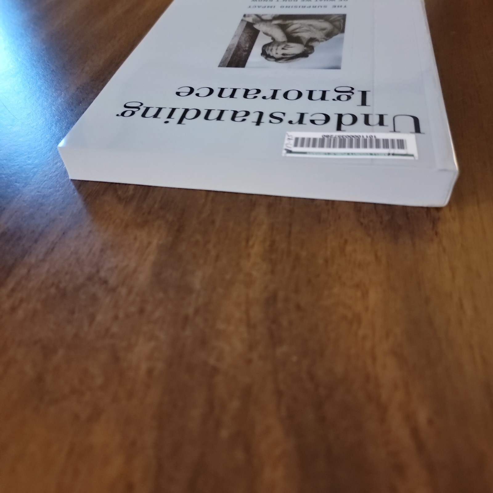 Understanding Ignorance – Daniel R. DeNicola