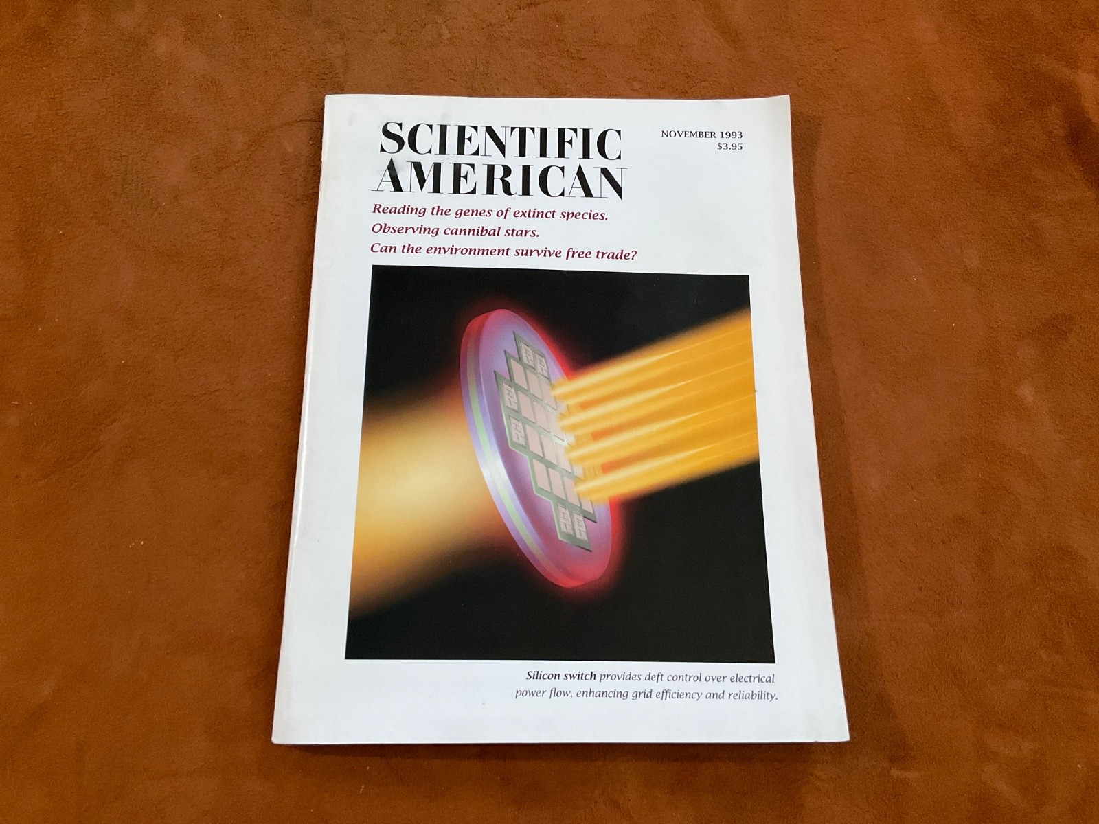Scientific American Magazibe November 1993