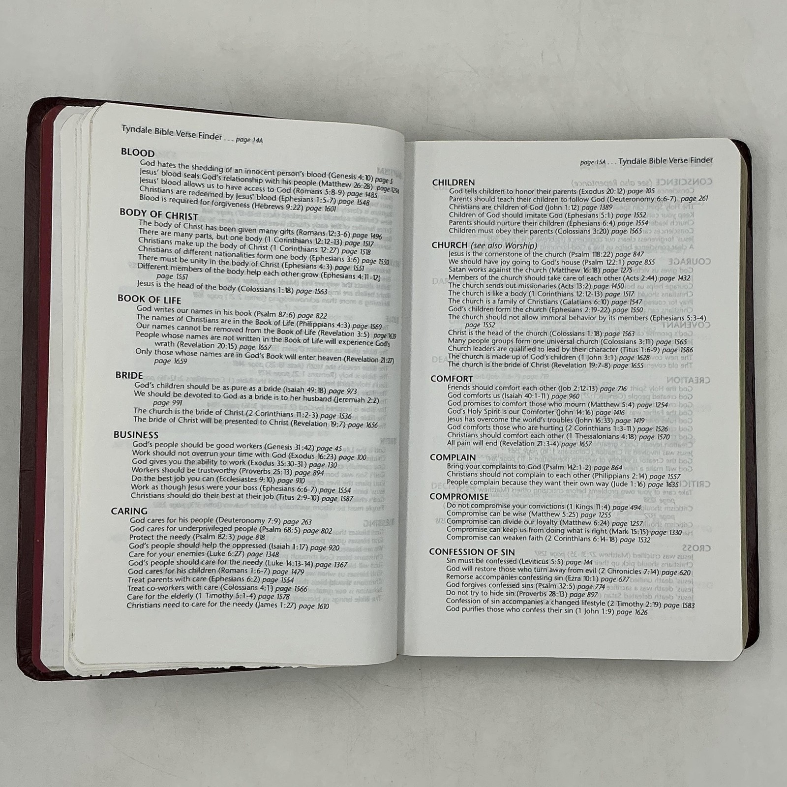Holy Bible TBN Parallel Edition King James NLT Tyndale HC Burgundy 1997 USA