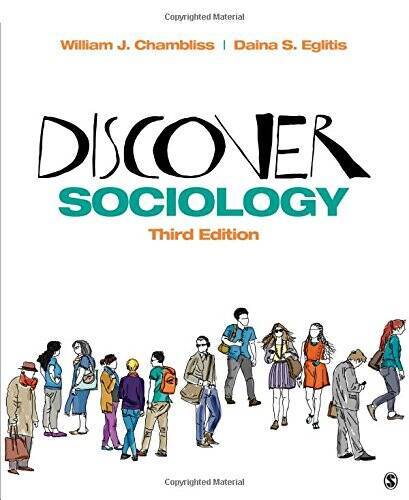 Discover Sociology – Paperback By Chambliss, William J. – GOOD