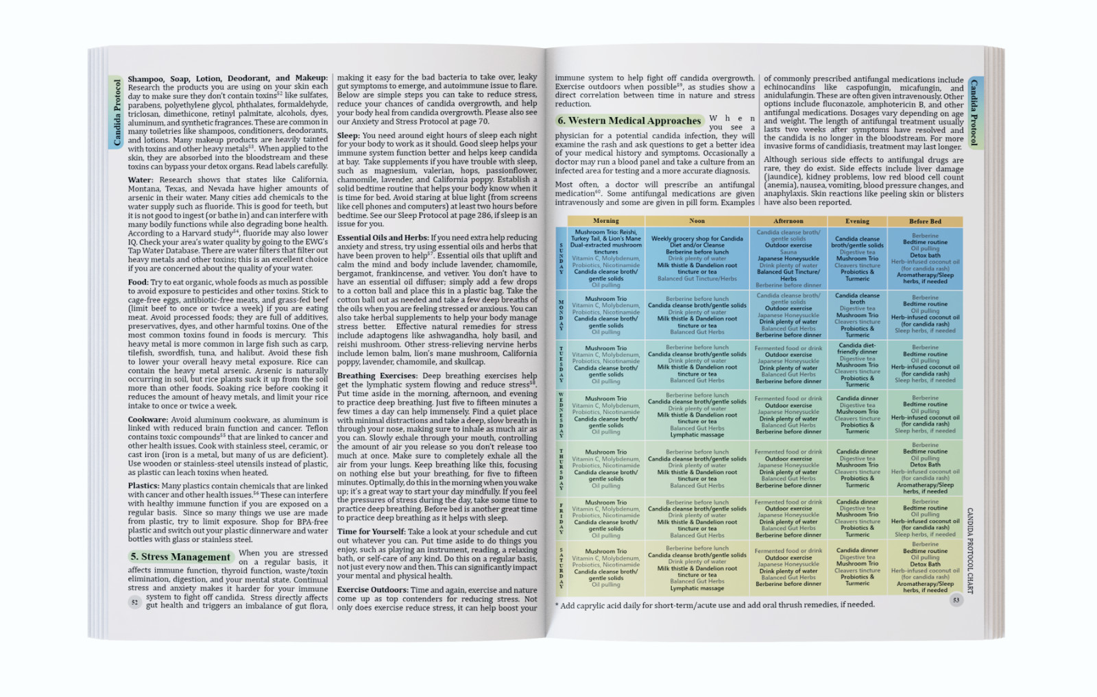 The Holistic Guide to Wellness (paperback with color pictures)