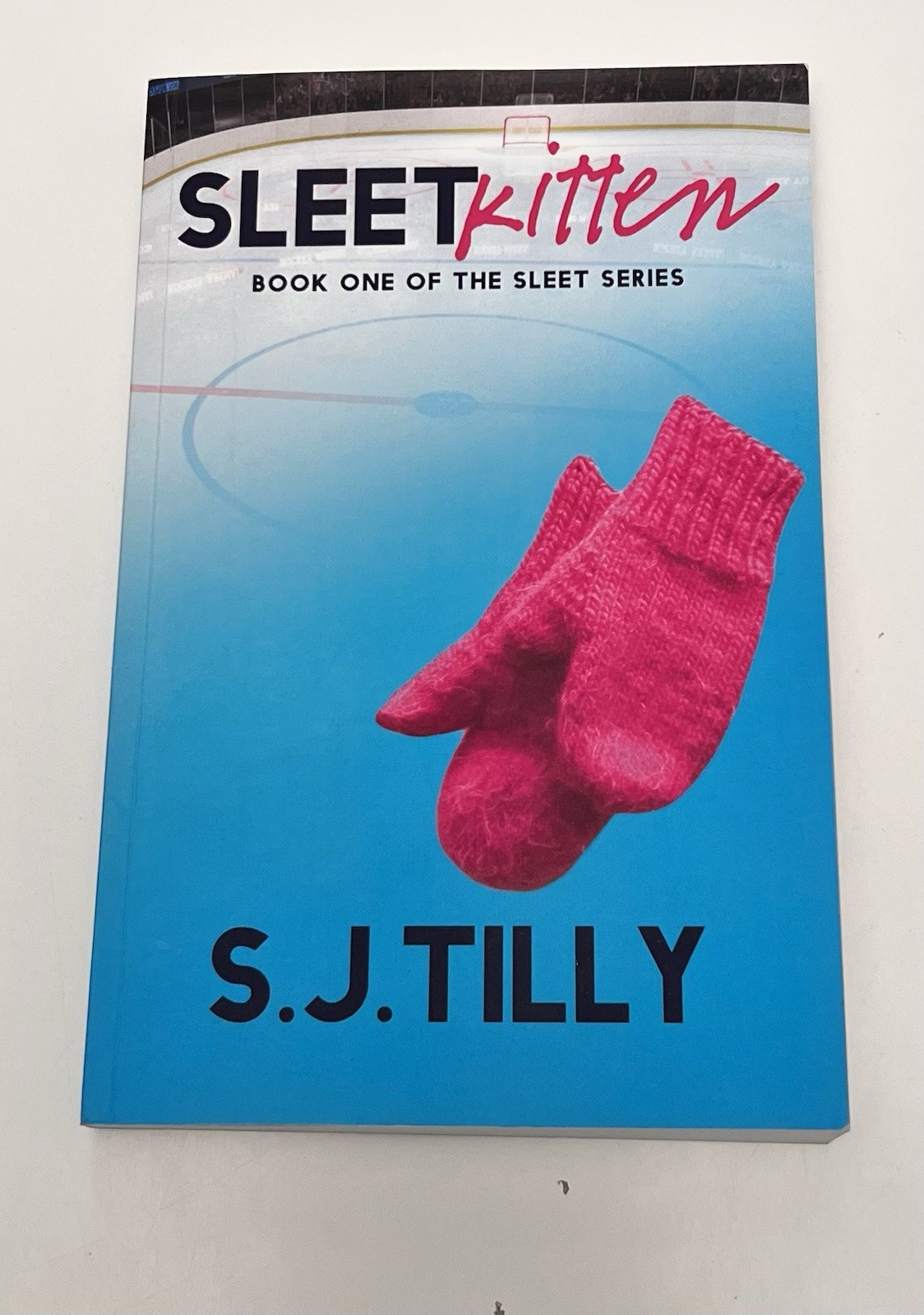 Sleet Kitten: Book One of the Sleet Series by S J Tilly: New