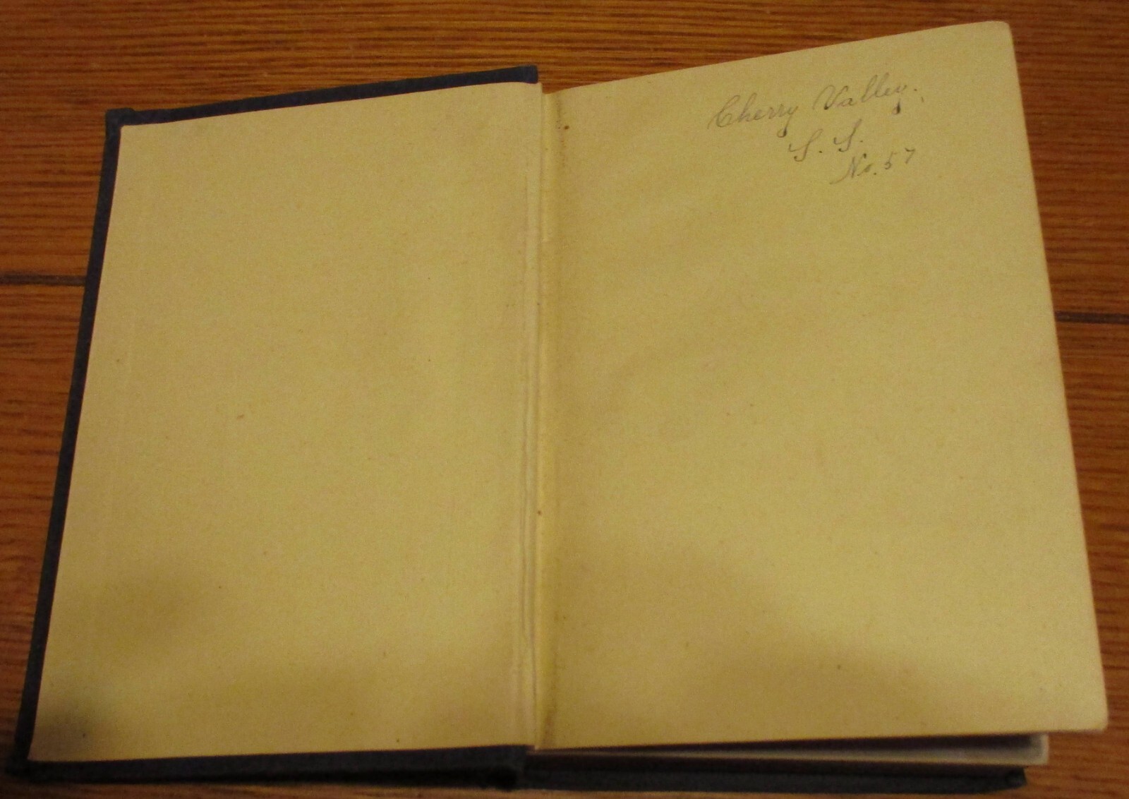 1878 Record of The Do Without Society by Emily Hartley H/C 272 Pages RARE!!!
