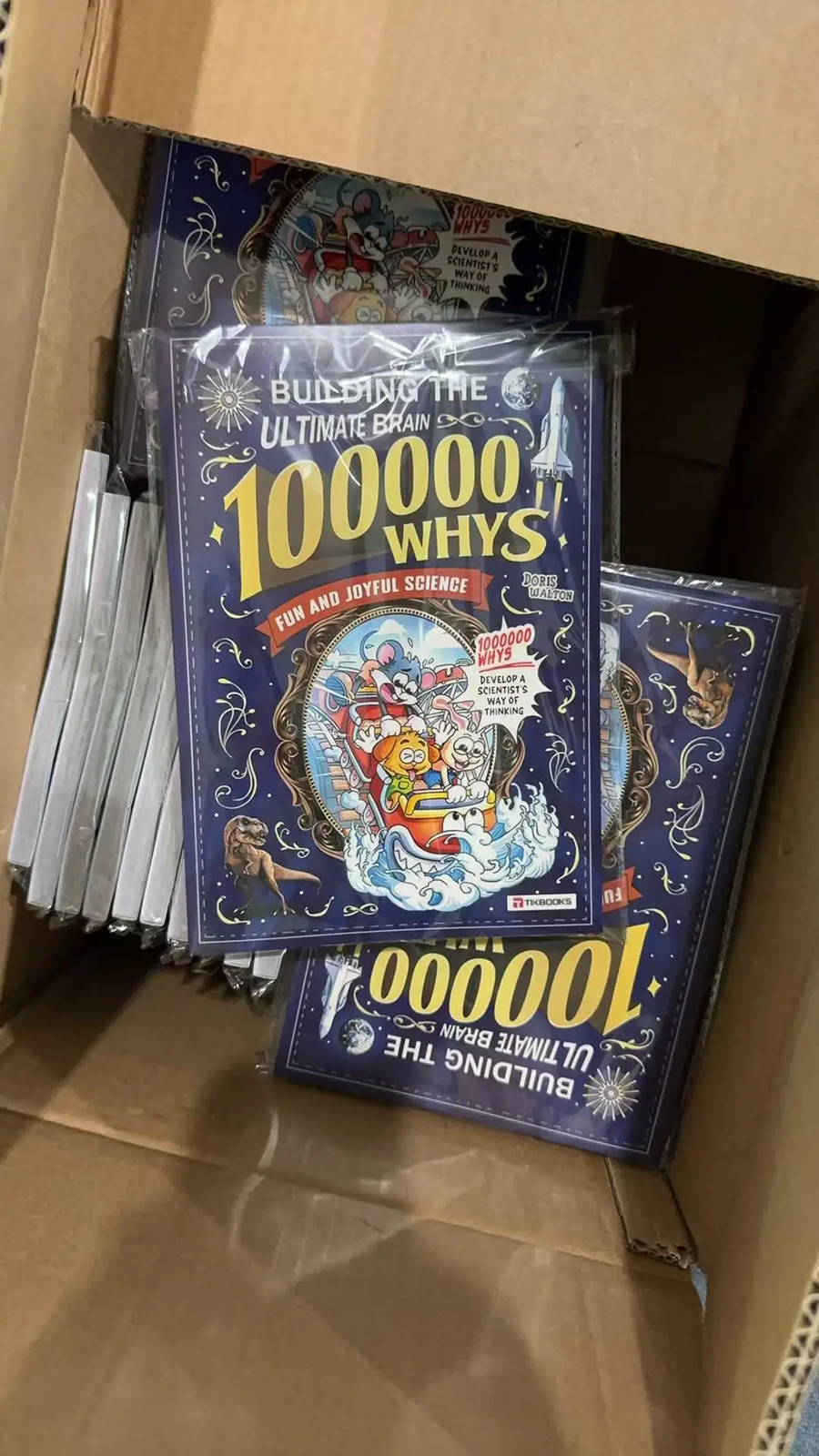 BUILDING THE ULTIMATE BRAIN 100000 WHYS for Children Fun Early Learning