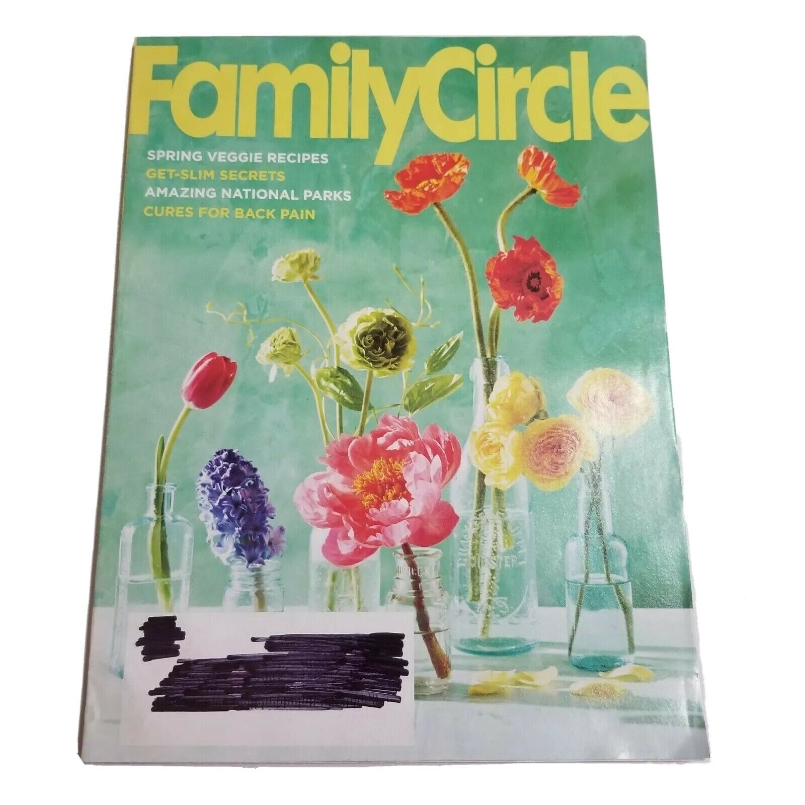 Family Circle Magazine – May 2016 – 168 Pages Back Issue