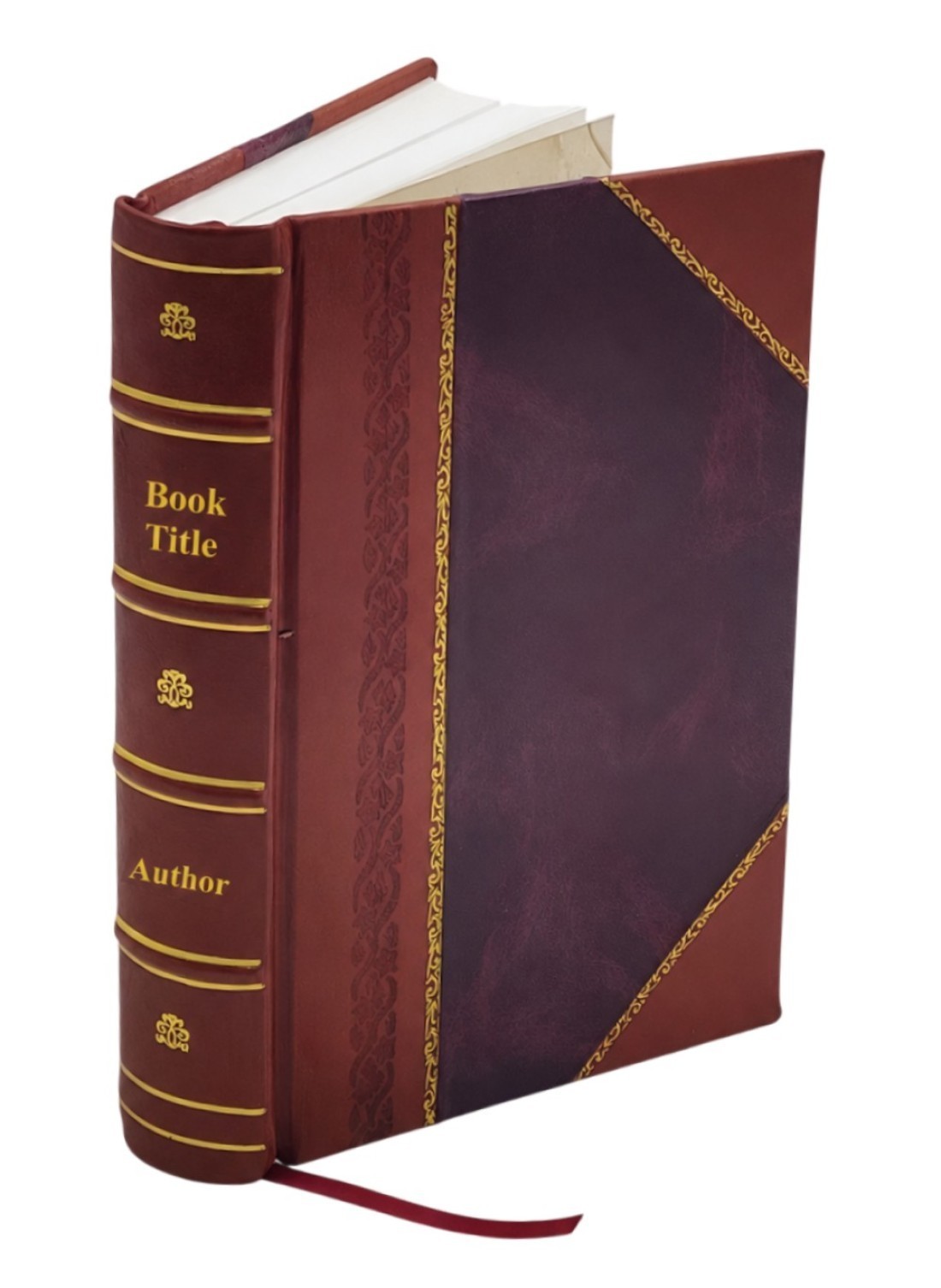 A joy ride through China for the N.A.C. by Cora E. Simpson 1929 [Leather Bound