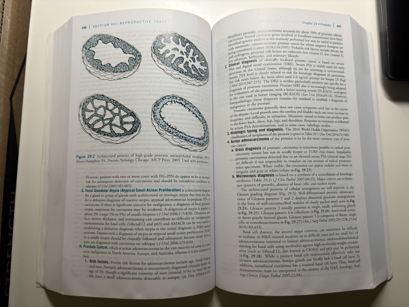 The Washington Manual of Surgical Pathology – Like new