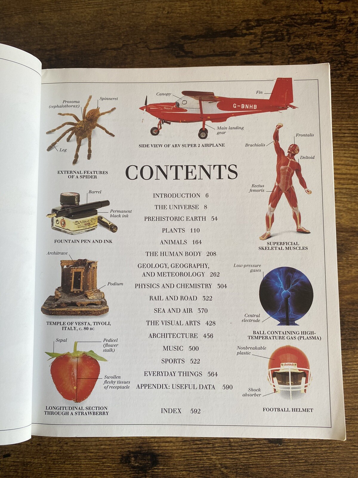 Vintage 1998 Ultimate Visual Dictionary Paperback 640 Pages Book