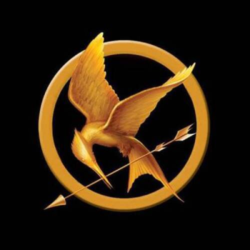 The Hunger Games Tribute Guide – Paperback By Seife, Emily – GOOD