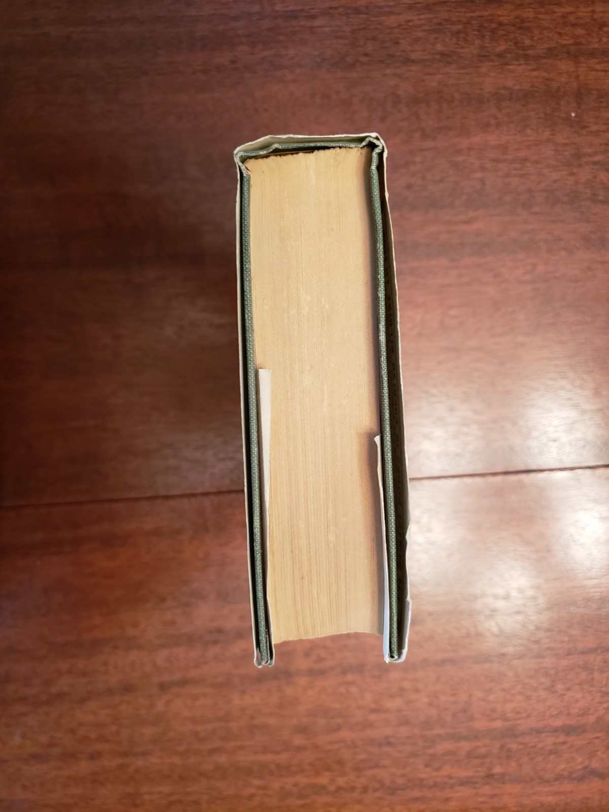 The Son of Tarzan by Edgar Rice Burroughs first A.L. Burt edition printing 1918