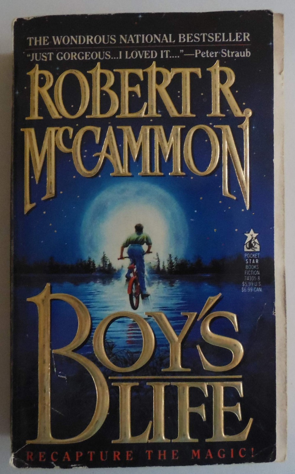 Boy&rsquo;s Life