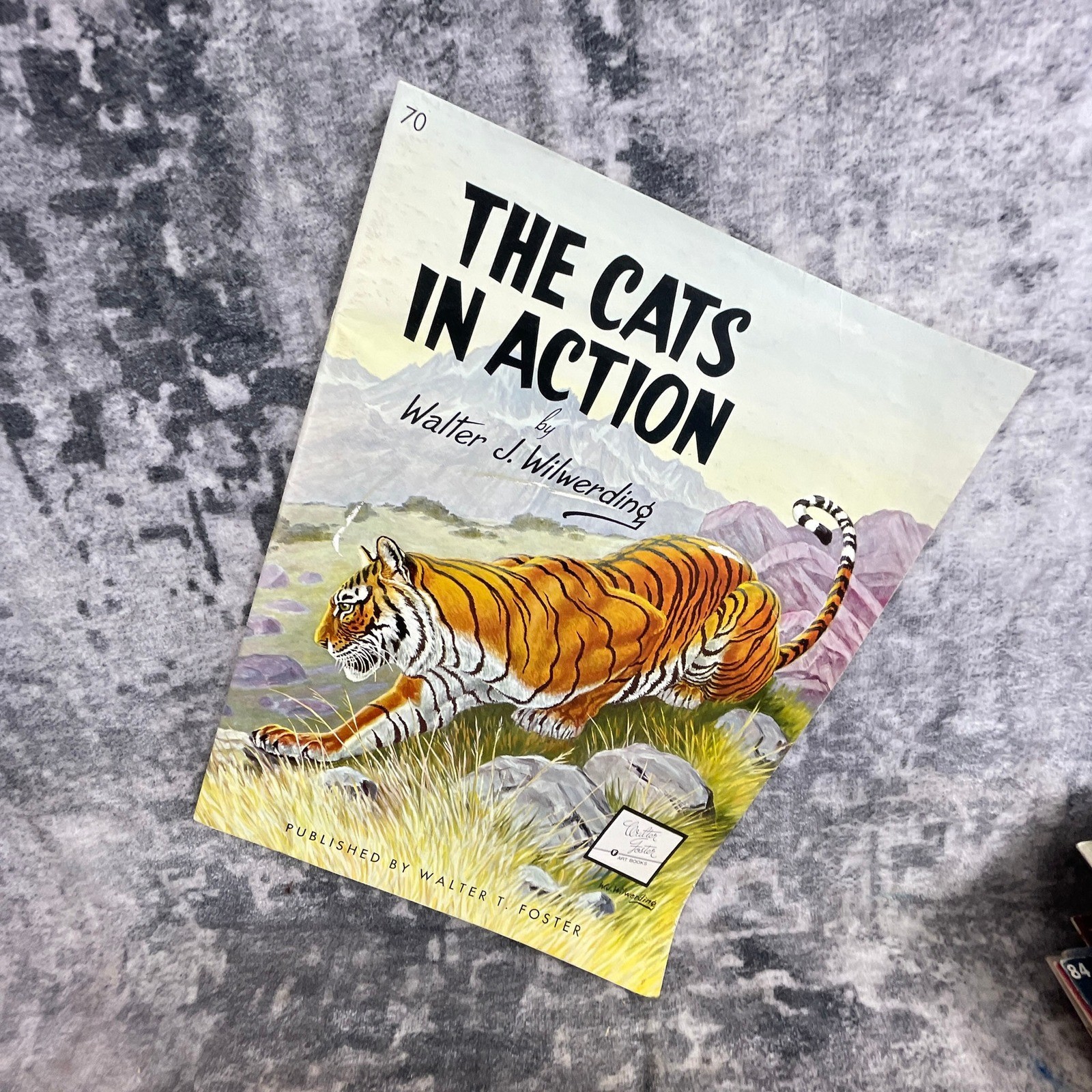 The Cats in Action Walter T Foster Art Book Walter Wilwerding Tiger Leopard