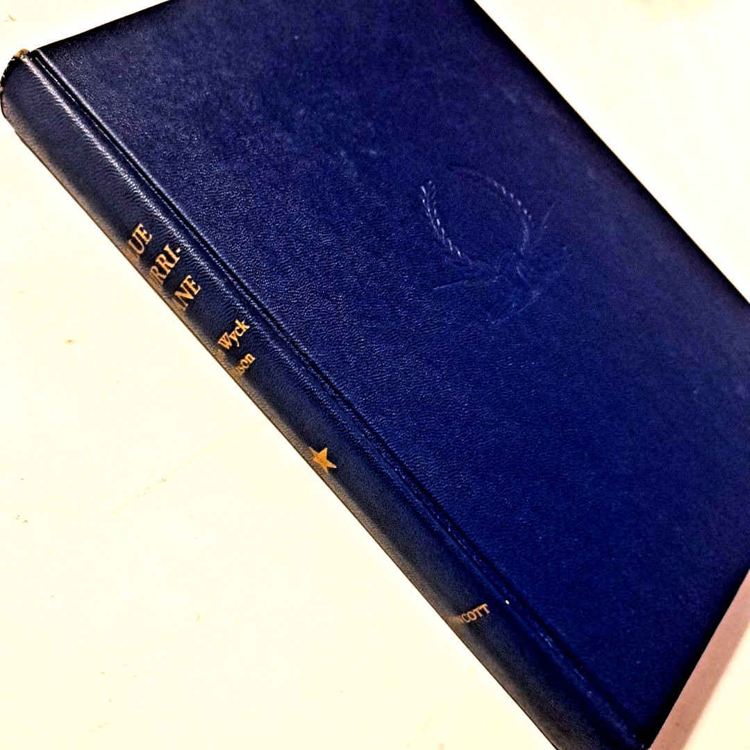 Blue Hurricane, F. Van Wyck Mason💥1954 HC J. B. Lippincott 307 Pages