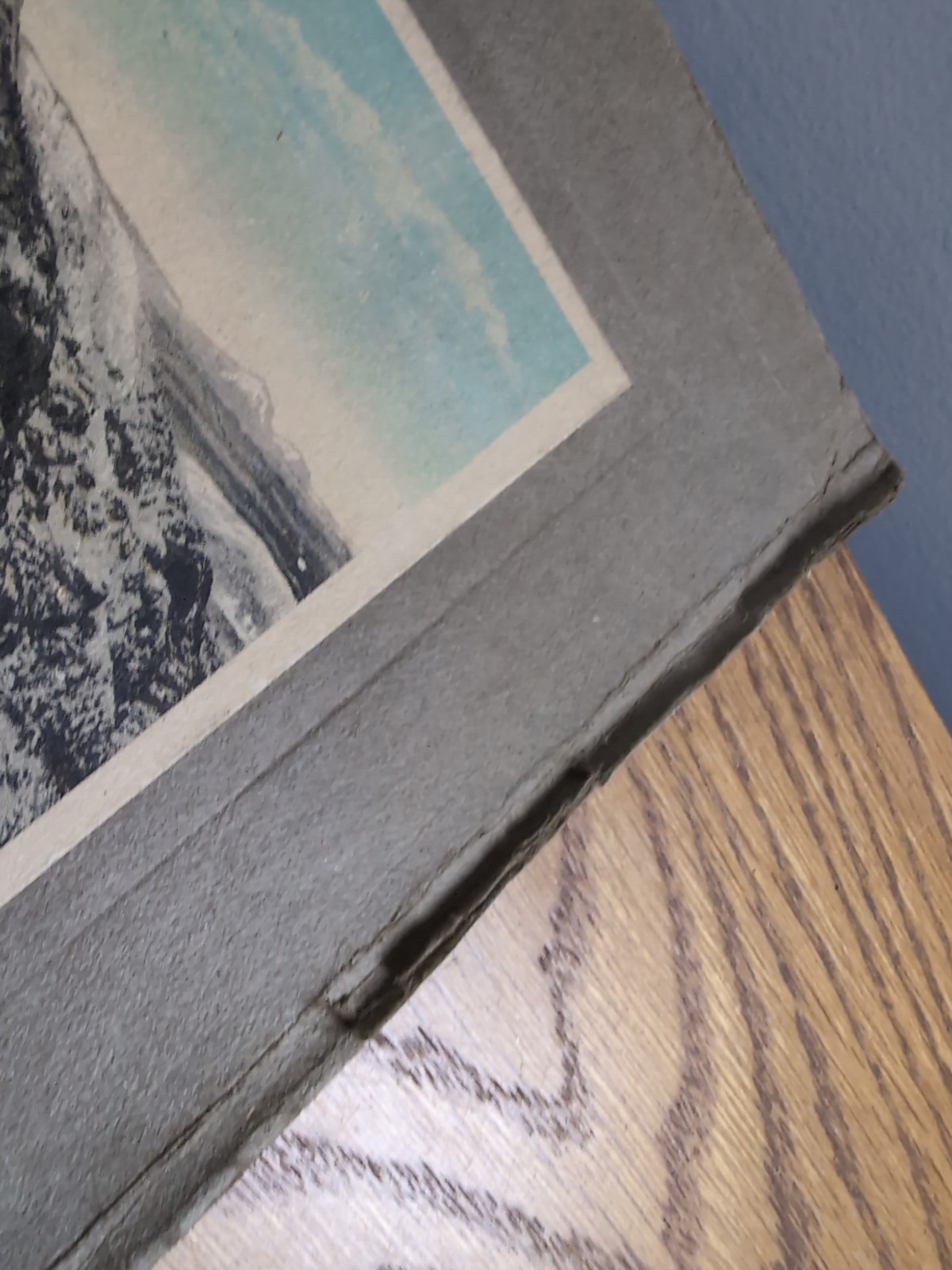 The Pike&rsquo;s Peak Region Published By H. H. Tammen Co. Denver CO 10.5&Prime;x8.5&Prime;x .25&Prime;