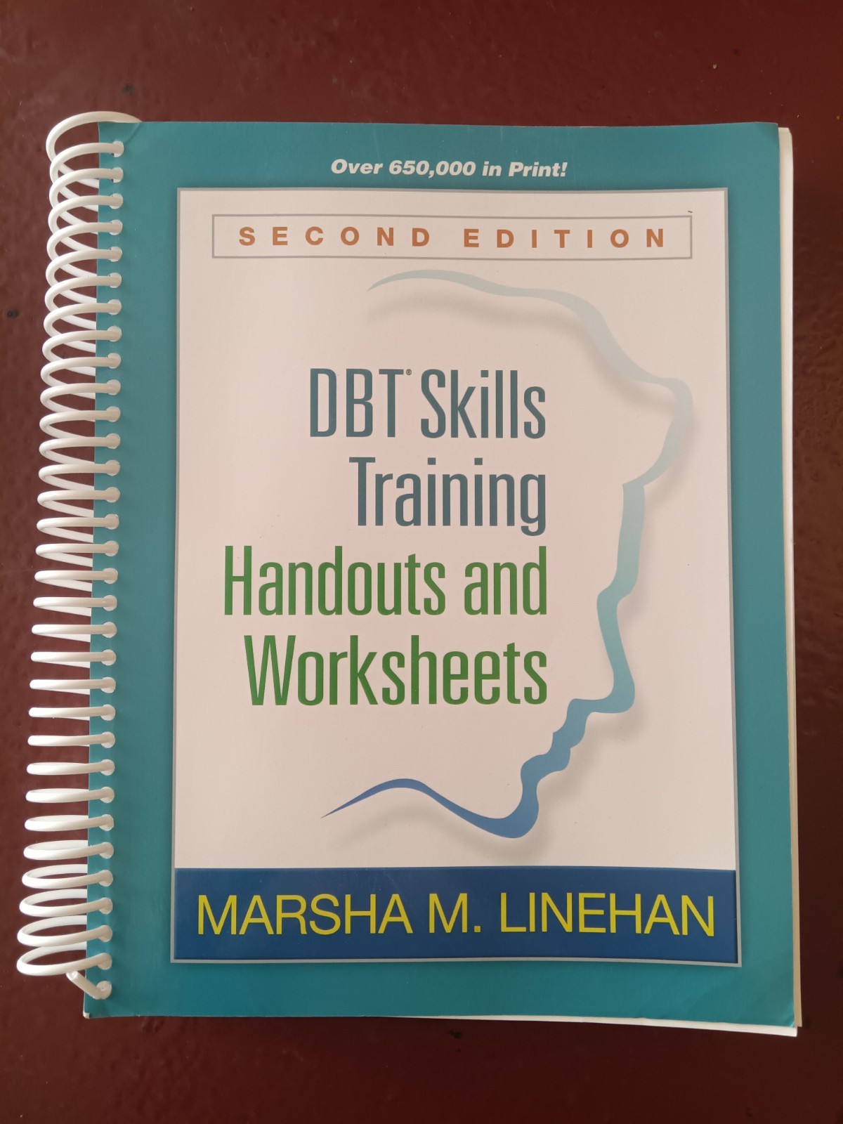 DBT Skills Training Handouts and Worksheets by Marsha M. Linehan (2014, Trade…
