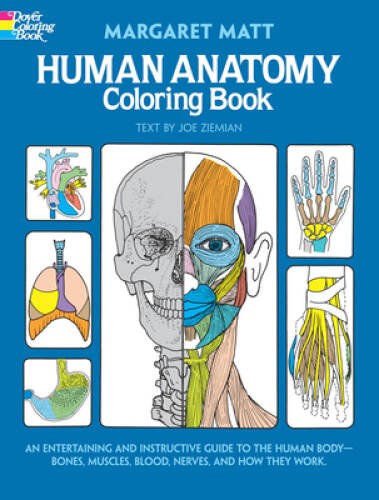 Human Anatomy Coloring Book (Dover Children&rsquo;s Science Books) – Paperback – GOOD