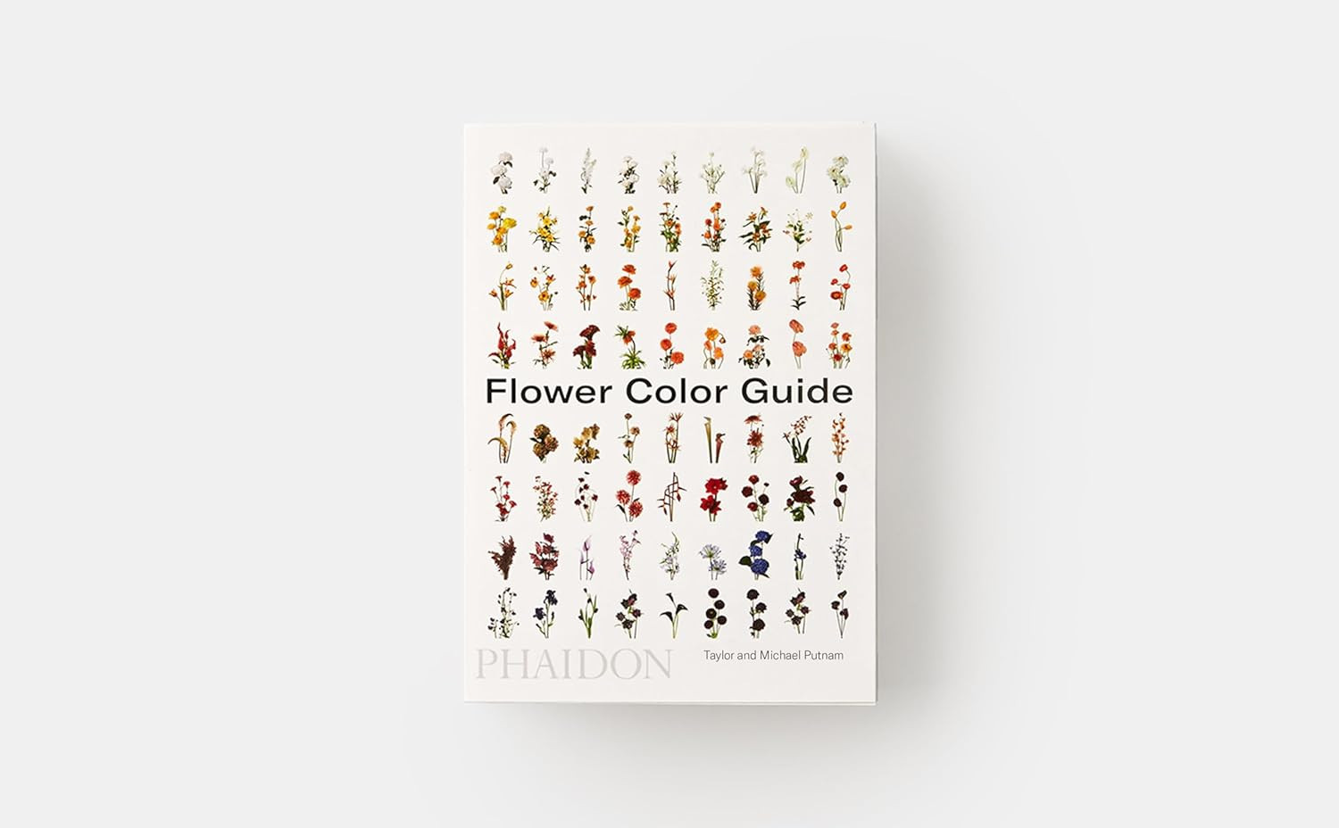 Flower Color Guide