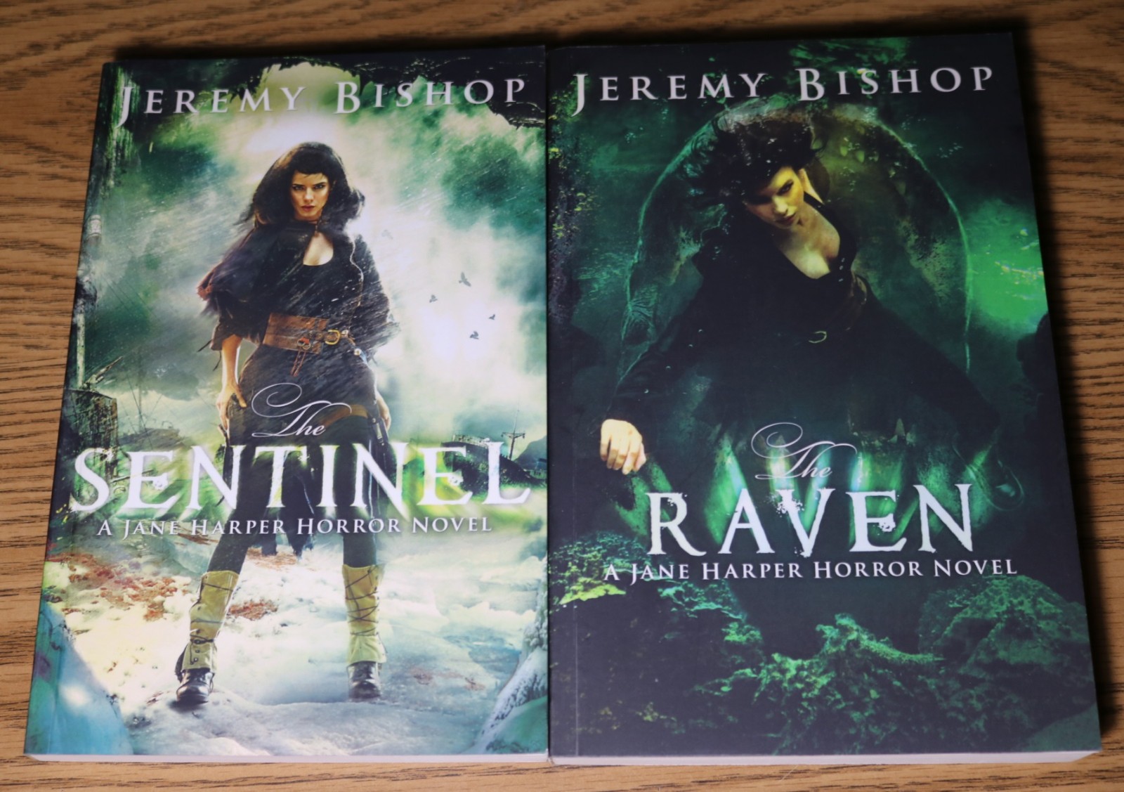 Jeremy Bishop The Sentinel & The Raven 2013 Jane Harper Horror Novel 47North