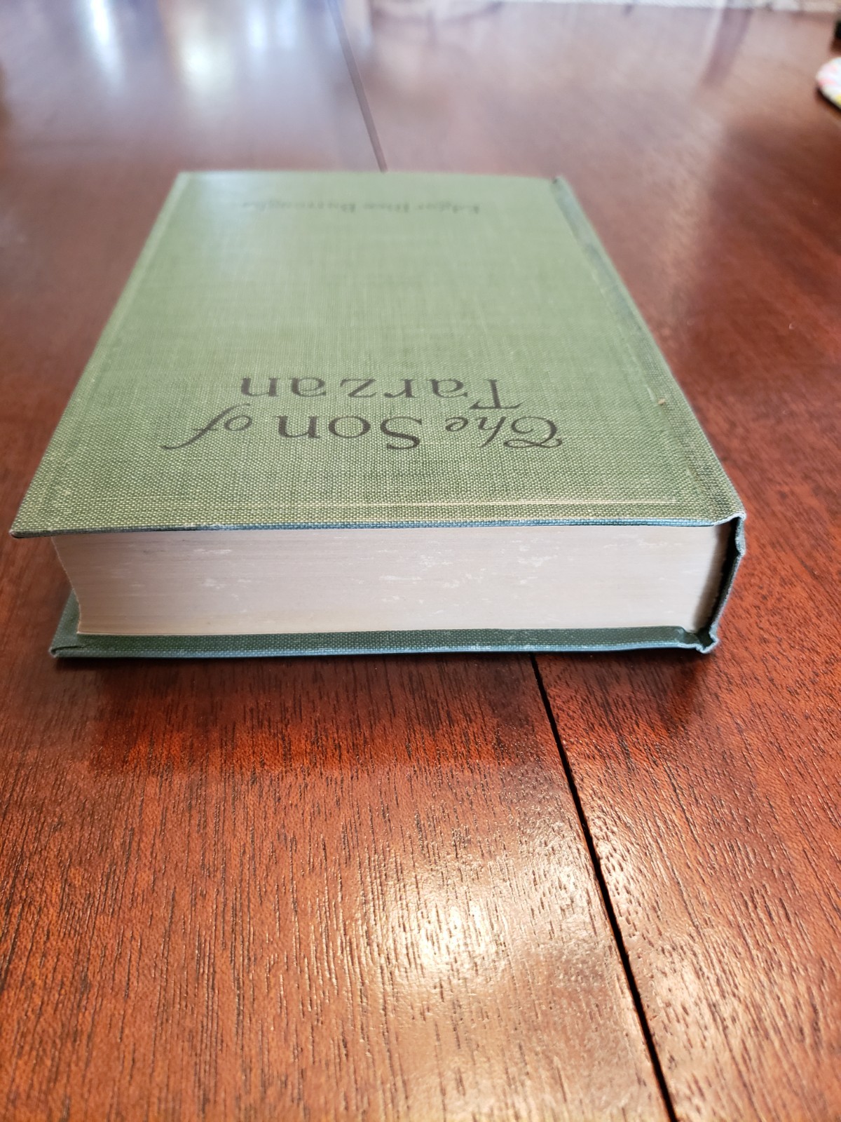The Son of Tarzan by Edgar Rice Burroughs first A.L. Burt edition printing 1918