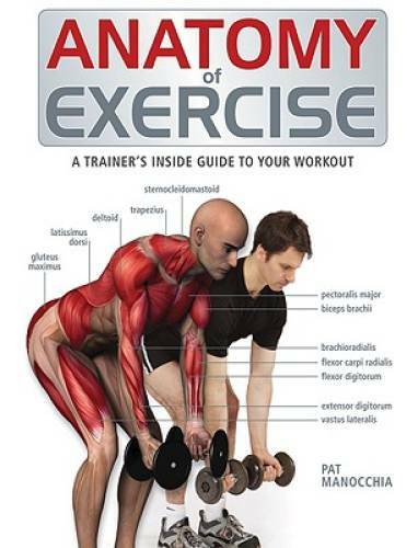 Anatomy of Exercise: A Trainer&rsquo;s Inside Guide to Your Workout – Paperback – GOOD