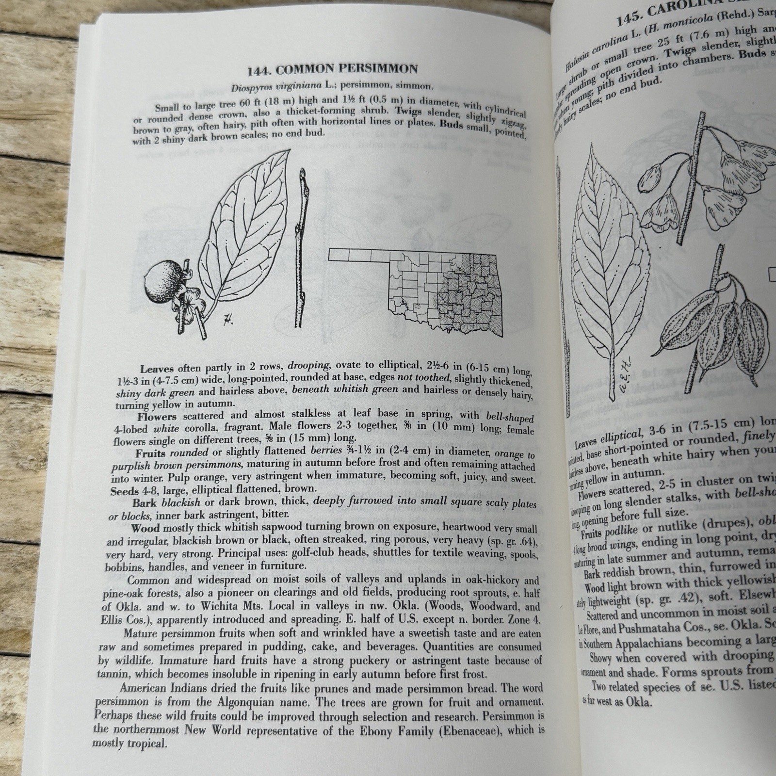 Forest Trees of Oklahoma Guidebook 1991 How to Know Them Botany Illustrated
