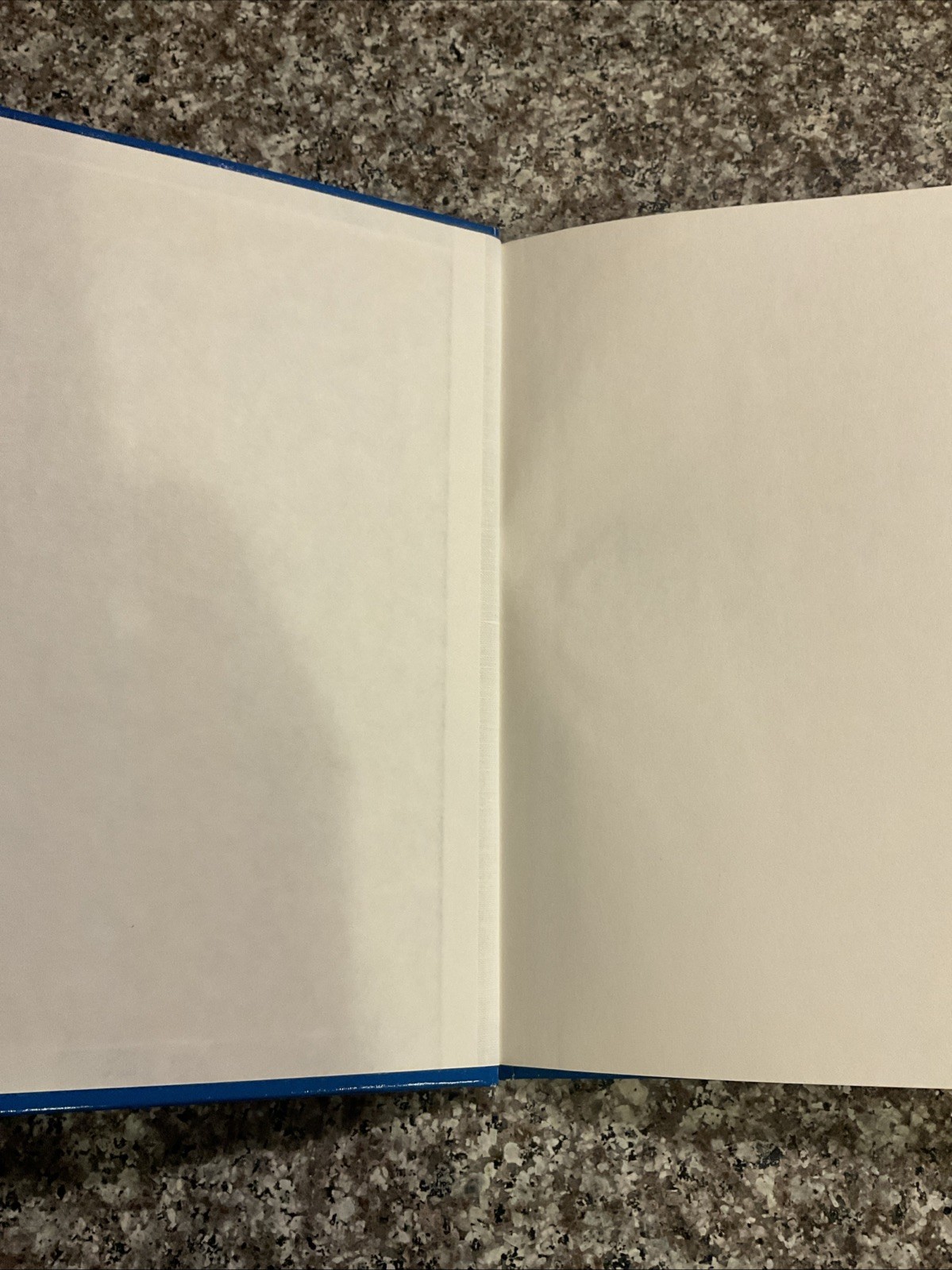 1978 The Hamburger Hunt: A Ronald McDonald Mystery Activity Book