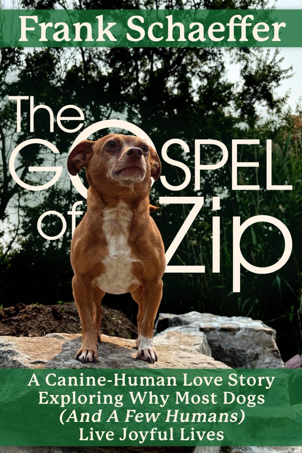 THE GOSPEL OF ZIP: A Canine-Human Love Story Exploring Why Most Dogs (and a …