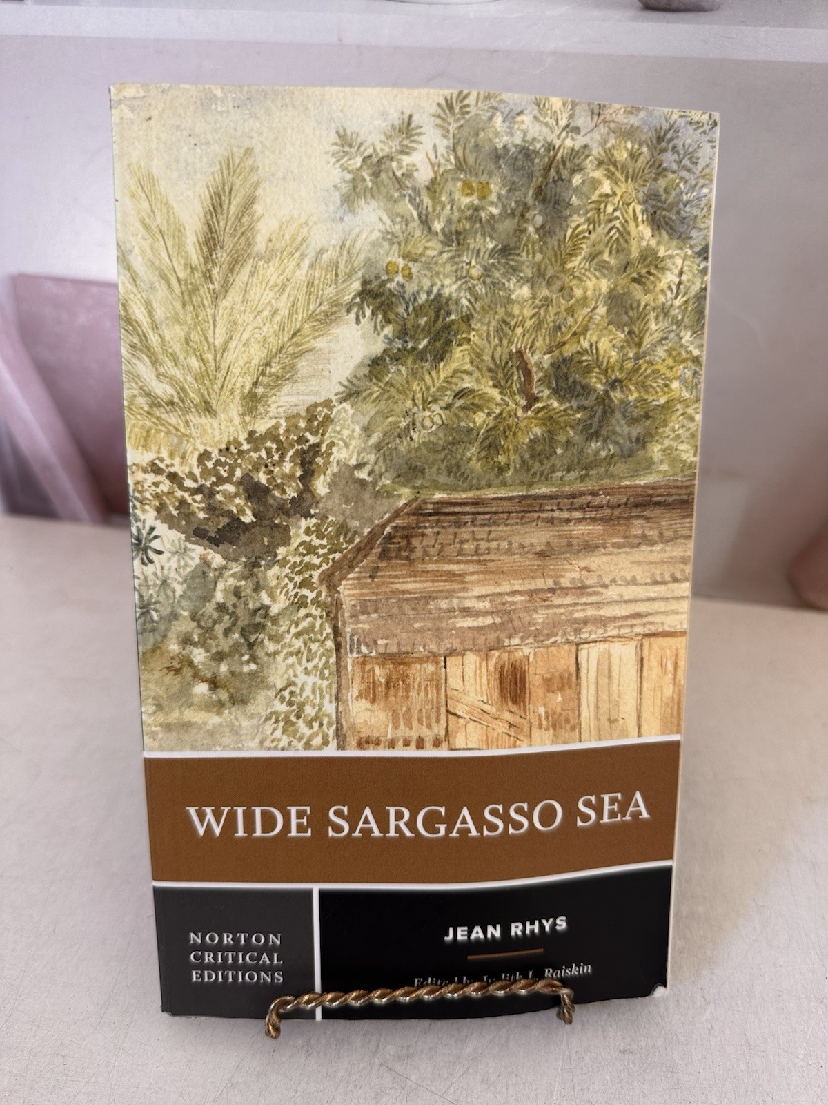 Wide Sargasso Sea by Jean Rhys (1998, Trade Paperback)