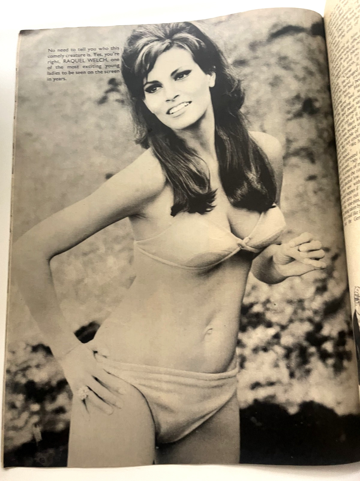 Fiesta Men&rsquo;s Magazine Volume 1 Number 9 United Kingdom