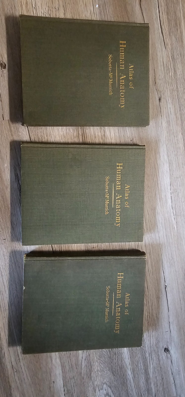 Atlas of Human Anatomy Sobotta-McMurrich 3 volume 1936